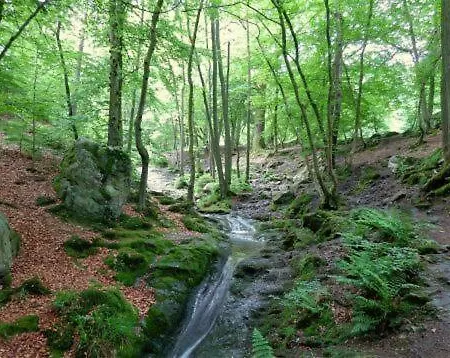 Holiday home Thermes De La Charmille Theux
